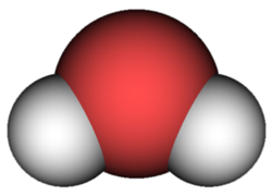 L'acqua da un punto di vista biologico