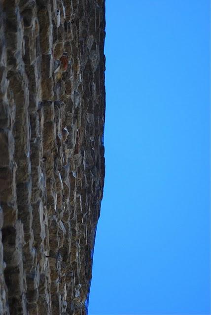 First day in Florence - ORANGE