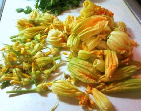 Petronilla: frittelle dolci di fiori di zucca