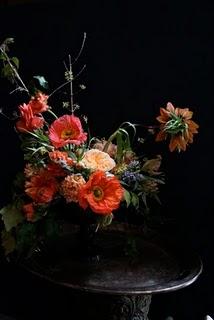 composizioni del corso di Nature Morte...NY composizioni del corso di Nature Morte...NY