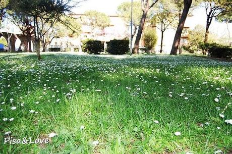 Una stagione: la primavera #3 Una stagione: la primavera #3