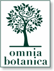 Recensione: Omnia Botanica Latte detergente delicato viso con olio di Argan purissimo