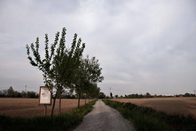 Sono il nuovo ragazzo della via Gluck