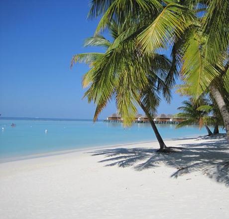 LE MALDIVE: UN PARADISO TERRESTRE PER LA LUNA DI MIELE