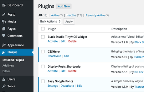 Disinstallare plugin WordPress da vero Guru Disinstallare plugin WordPress da vero Guru