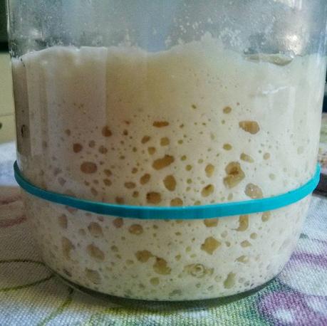 Pane con frutta fermentata Pane con frutta fermentata