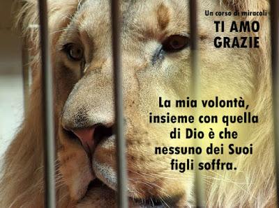 La tua funzione è fare miracoli. Parte 2. La tua funzione è fare miracoli. Parte 2.