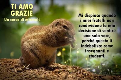 La tua funzione è fare miracoli. Parte 2. La tua funzione è fare miracoli. Parte 2.