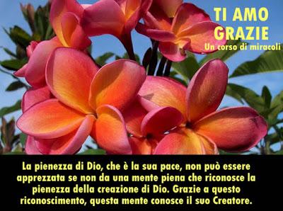 La tua funzione è fare miracoli. Parte 2. La tua funzione è fare miracoli. Parte 2.