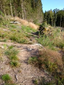 French Divide… an amazing adventure! img_20160808_190739478