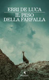 Dialoghi con l'Amanita#28 - Il peso della farfalla, la noia e L’Amanita cogitabonda (strano, vero?) Dialoghi con l'Amanita#28 - Il peso della farfalla, la noia e L’Amanita cogitabonda (strano, vero?)