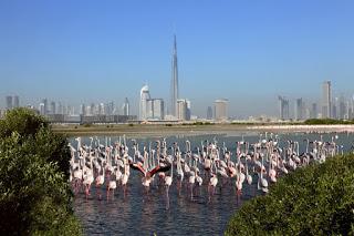 Dubai: Capodanno tra fuochi d'artificio e feste sull'acqua Dubai: Capodanno tra fuochi d'artificio e feste sull'acqua