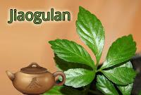 Gynostemma, schisandra e ginseng per stare bene Gynostemma, schisandra e ginseng per stare bene