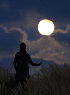 La Bibbia e la luna La Bibbia e la luna