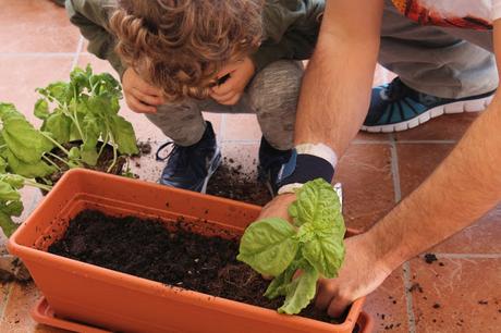 Giardinaggio con i bambini: cosa abbiamo imparato? Giardinaggio con i bambini: cosa abbiamo imparato?