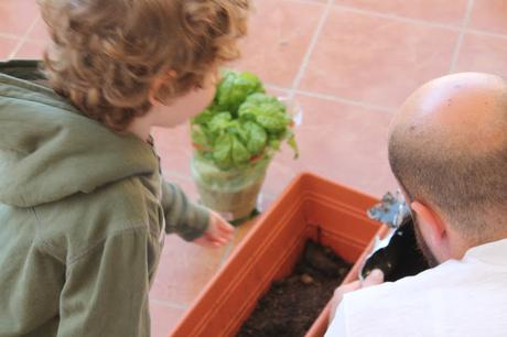 Giardinaggio con i bambini: cosa abbiamo imparato? Giardinaggio con i bambini: cosa abbiamo imparato?