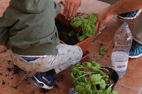 Giardinaggio con i bambini: cosa abbiamo imparato? Giardinaggio con i bambini: cosa abbiamo imparato?