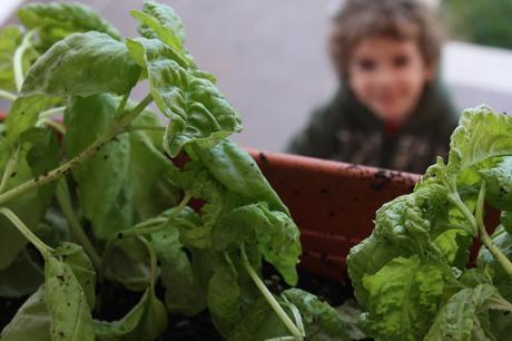 Giardinaggio con i bambini: cosa abbiamo imparato? Giardinaggio con i bambini: cosa abbiamo imparato?