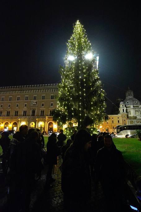 Perché l'albero di natale di Roma fa pietà e quello di Milano è bellissimo? Perché l'albero di natale di Roma fa pietà e quello di Milano è bellissimo?