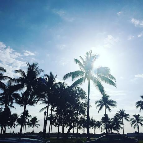 The Sunshine State: Miami South Beach The Sunshine State: Miami South Beach