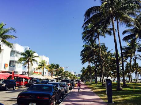 The Sunshine State: Miami South Beach The Sunshine State: Miami South Beach