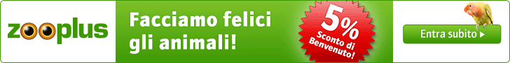 Lieto fine - Artù, sempre Artù....ma sapete che davvero ha qualcosa di speciale? TUTTI GLI ANIMALI