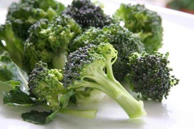 Orecchiette con broccoletti