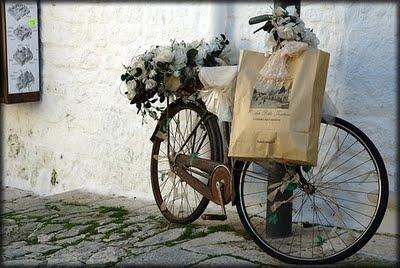 SHABBY & COUNTRY TRANSPORTS