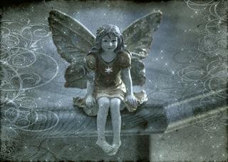 fairy fairy