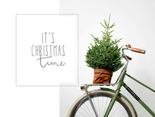Christmas green edition