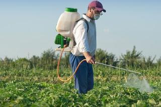 Corsi per l'ottenimento del certificato di abilitazione all'acquisto e all'utilizzo dei prodotti fitosanitari. Corsi per l'ottenimento del certificato di abilitazione all'acquisto e all'utilizzo dei prodotti fitosanitari.