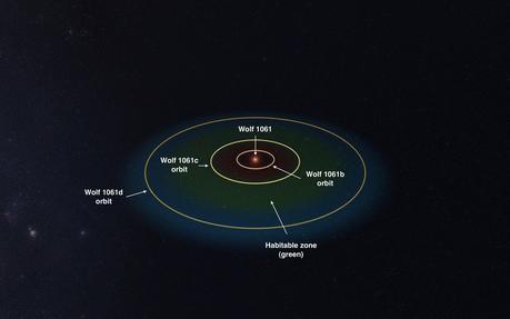 Occhi puntati su Wolf 1061,potenzialmente in grado di sostenere la vita. w1
