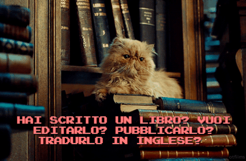 Marco Vukic – Il pacco Marco Vukic – Il pacco