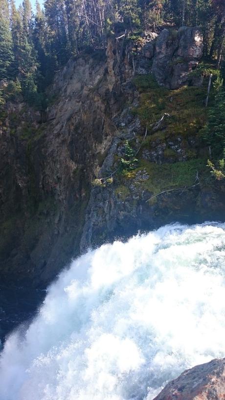 Yellowstone National Park: incontro ravvicinato con la natura Yellowstone National Park: incontro ravvicinato con la natura