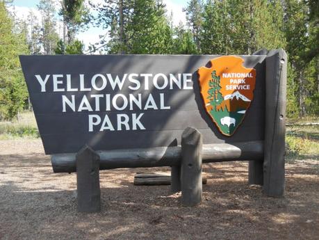 Yellowstone National Park: incontro ravvicinato con la natura Yellowstone National Park: incontro ravvicinato con la natura
