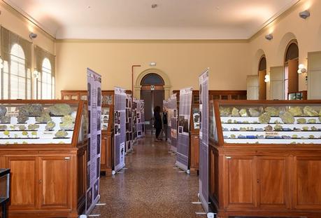Solfo & Carbone, la Mostra al Museo Bombicci Solfo & Carbone, la Mostra al Museo Bombicci