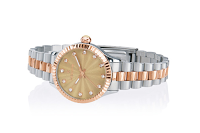 Hoops: Il nuovo orologio Luxury Silver&Gold Hoops: Il nuovo orologio Luxury Silver&Gold