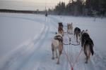 L’estremo Nord della Lapponia Finlandese L’estremo Nord della Lapponia Finlandese