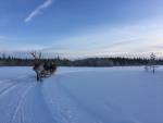 L’estremo Nord della Lapponia Finlandese L’estremo Nord della Lapponia Finlandese