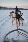 L’estremo Nord della Lapponia Finlandese L’estremo Nord della Lapponia Finlandese