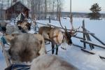 L’estremo Nord della Lapponia Finlandese L’estremo Nord della Lapponia Finlandese