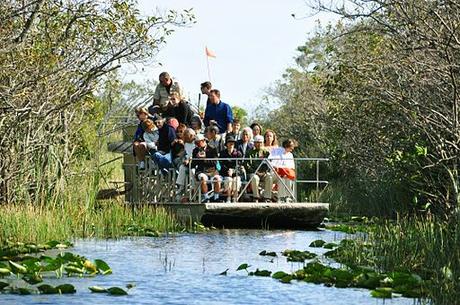 Everglades, un pomeriggio nelle paludi Miami everglades airboat tourism