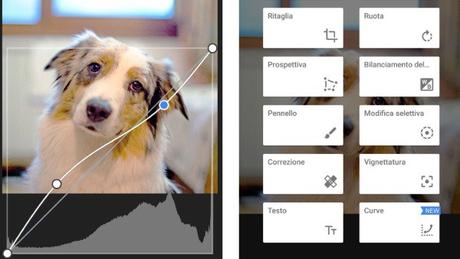 Snapseed: con la nuova versione arriva anche il controllo delle curve Snapseed: con la nuova versione arriva anche il controllo delle curve