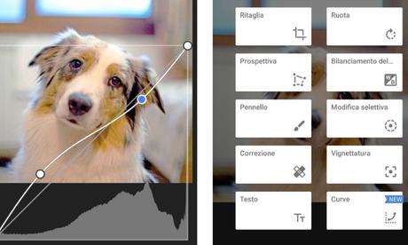 Snapseed: con la nuova versione arriva anche il controllo delle curve Snapseed: con la nuova versione arriva anche il controllo delle curve