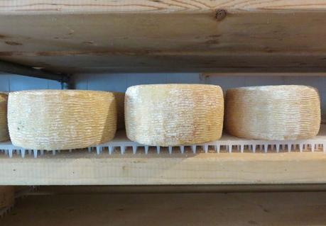 Visitare l’Irpinia tra cucina e tradizioni Visitare l’Irpinia tra cucina e tradizioni