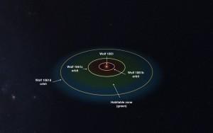 A caccia di vita su Wolf 1061c IL SISTEMA SOLARE WOLF 1061