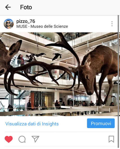 muse trento trento cosa vedere
