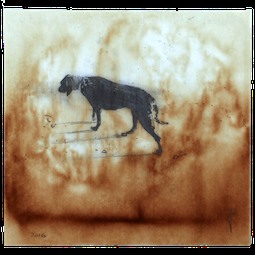 COMO | ESSERI ANIMALI | Mostra collettiva alla Galleria MAG | 3-26 febbraio 2017 COMO | ESSERI ANIMALI | Mostra collettiva alla Galleria MAG | 3-26 febbraio 2017