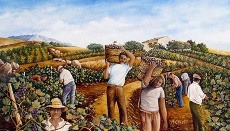 La “mustata ri vinu cottu”: storia e ricetta della mostarda siciliana vendemmia in sicilia caliri