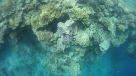 Le meraviglie naturali australiane…secondo me Le meraviglie naturali australiane…secondo me